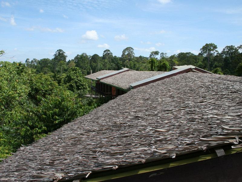 Paganakan Dii Tropical Retreat Sepilok Zimmer foto